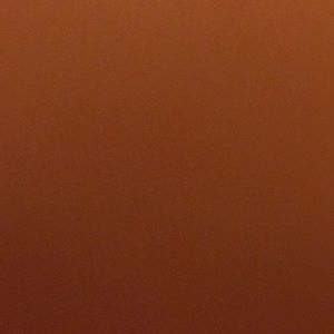 Meet your Posher, Ty